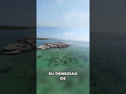 Santa Cruz: La Isla Sin Mosquitos con Más Población #shorts