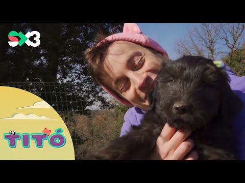 Excursió amb gossos d'atura | Titó