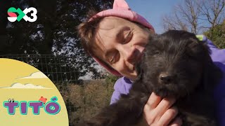 Excursió amb gossos d&#39;atura - Titó