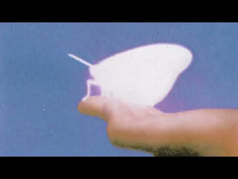 Shallou - Losing Focus (Official Audio)