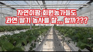 자연이팜 회원농가들의 농사 실력은??? 그 진실을 공개 합니다...