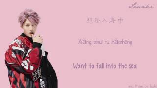 Luhan (鹿晗) - Catch Me When I Fall (某时某刻) (Chinese|Pinyin|Eng Lyrics) | by Liuzki