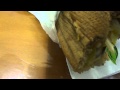 Worm In Subway Sub