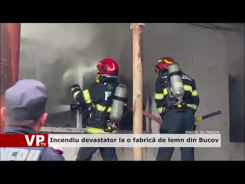 Incendiu devastator la o fabrică de lemn din Bucov