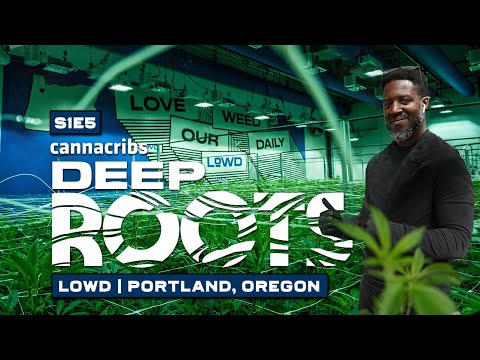 Craft Cannabis Brand in Portland, Oregon: LOWD
