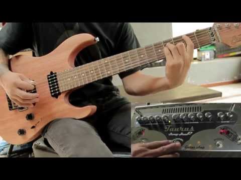 Taurus Stomp-Head 4  Silver Line