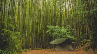 Solo Camping in Heavy Rain by The Bamboo Forest - ASMR
