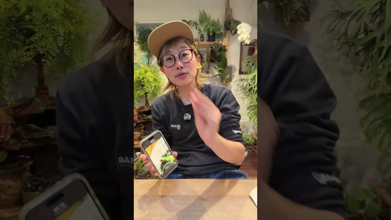 コレが毛細根✨🌱