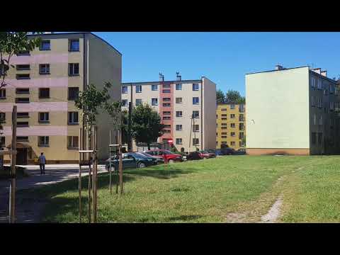 Rokietnica 08.2018