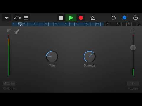 Glonczi Milan &erika