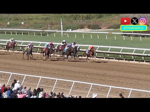 Exciting Stretch Run Decided by Small Margin in 2024 Golden State Juvenile Fillies Stakes