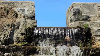 Mac Demarco   I&#39;ve Been Waiting For Her (Fan Made Video)