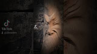 Woodcarving a Samurai