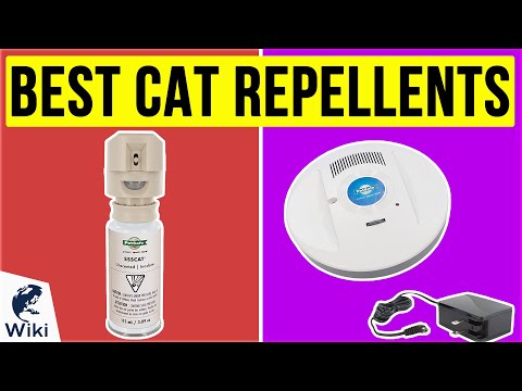10 Best Cat Repellents 2020