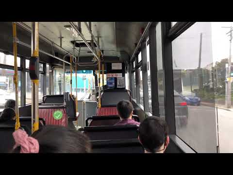 Punchbowl Bus Co. m/o 7190 - Scania L113CRL (ZF)