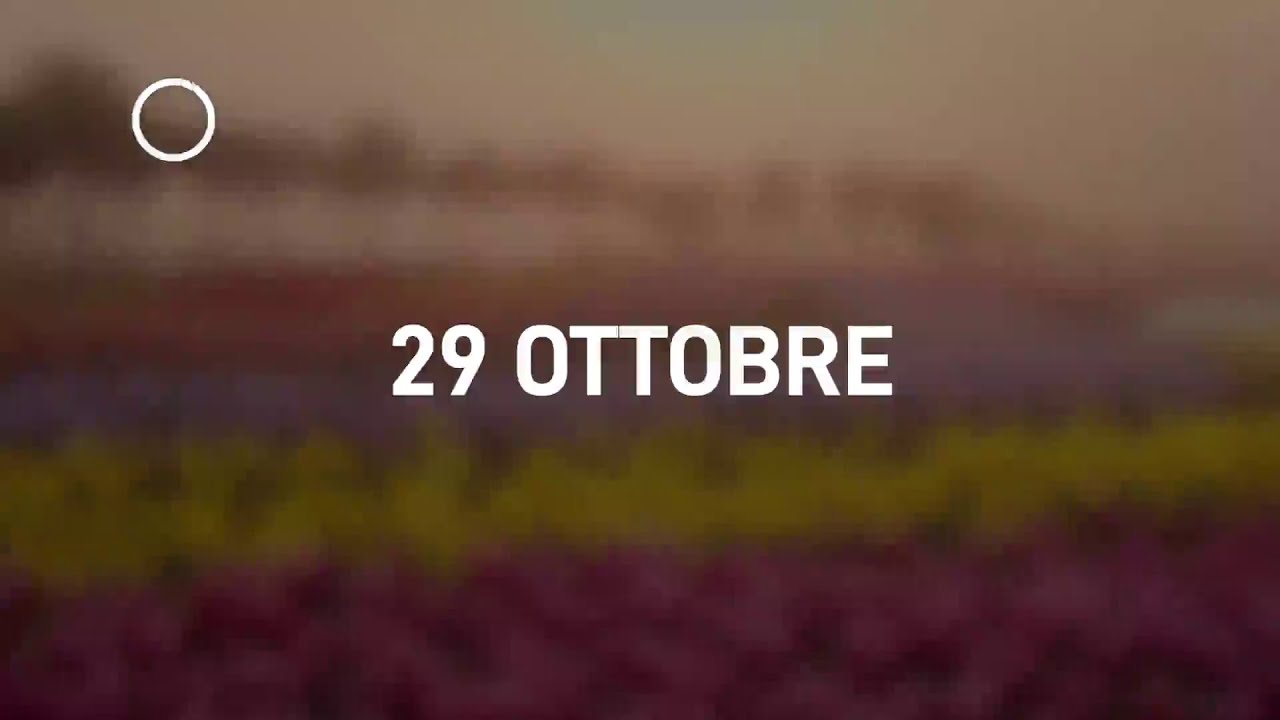 29 Ottobre 2024 | Meditazione Parole di Vita