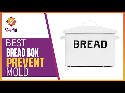 The ultimate guide to Best Bread Box to Prevent Mold