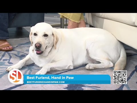 Celebrating canine companions, local author creates pet memory book - YouTube