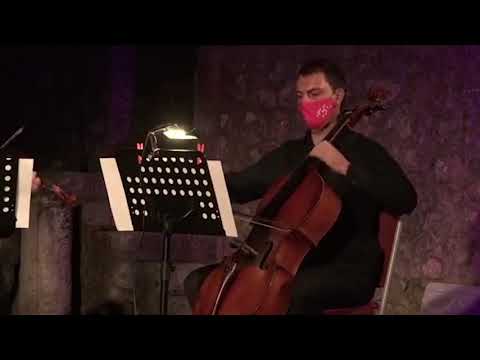 Magenta sonatas - Бетовенови сонати во изведба на гудачки квартет од пред куќата на Робевци, Охрид