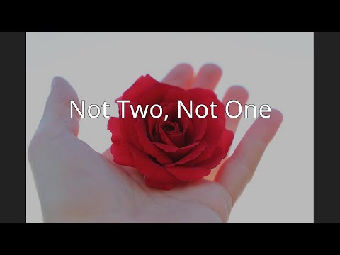 Not Two, Not One