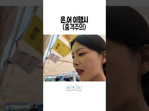 은: 은어야 어:어서와 내 뱃속으로.... #봉화은어축제