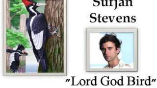 Lord God Bird - Sufjan Stevens