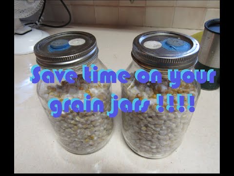 Best Liquid Culture Inoculation Tek!! Fully Colonized Grain Jars in Record Time