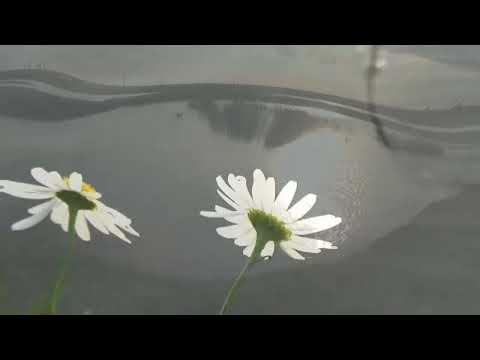 Mark Knofler, One Song At A Time, 3times