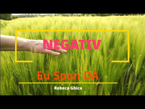 Rebeca Ghica-NEGATIV-2021  EU  SPUN DA