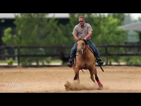 Clinica de rienda a cargo de Shawn Flarida en Haras Don Carlos
