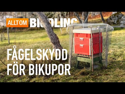 Fågelskydd för bikupa | Bihälsa Biodling