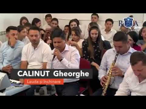 Calinut din Tecuci - Dute Iosif la Camp (Cover) Vasile Mocanu Original