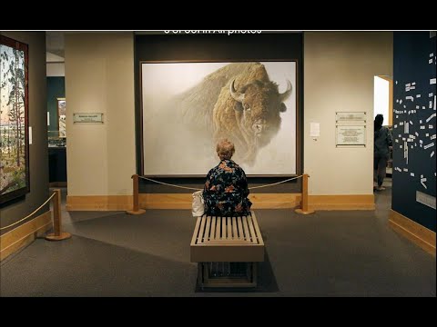 The National Museum of Wildlife Art