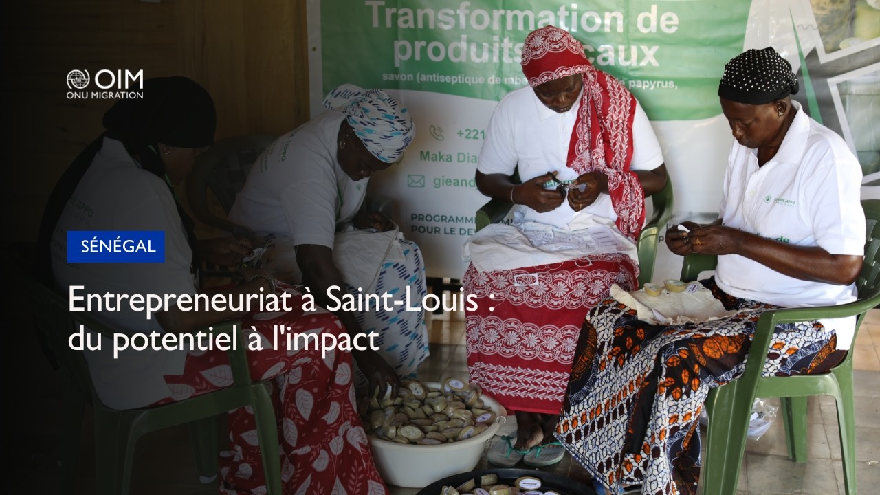 Entrepreneuriat à Saint Louis : du potentiel à l'impact