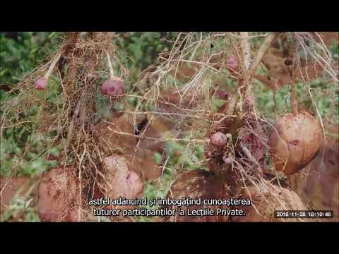 2018 11 28 PM Public Teaching in Romanian - Cursuri publice în română
