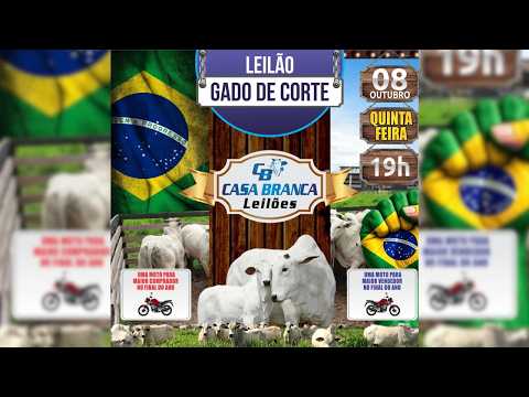 LEILÃO GADO DE CORTE CASA BRANCA LEILÕES -  CAMPINORTE - GO  08 /10 / 2026