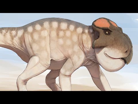 ウダノケラトプス - 角竜のイノシシ