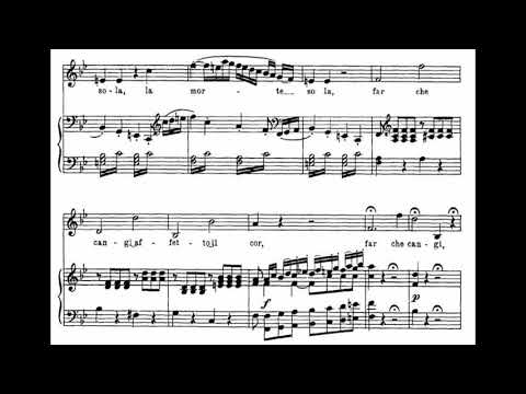 Come scoglio (Così fan tutte - W.A. Mozart) Score Animation