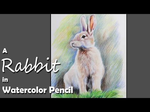 Mountains and Pine Tress Watercolor Pencil Landscape Drawing | steps to follow