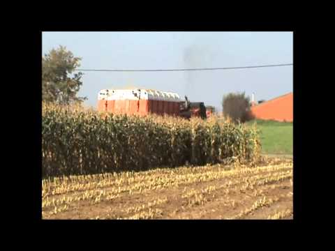 Loonw. Dezeure - Veurne