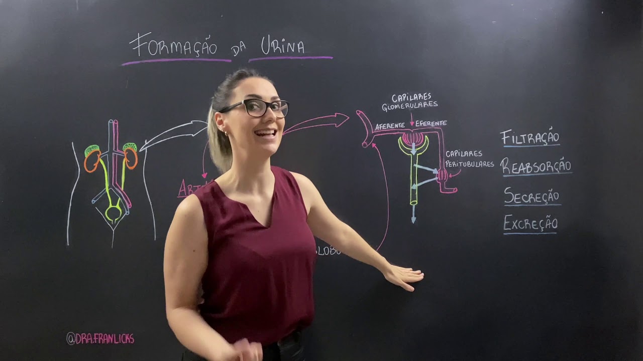 Formação da Urina - Dra Fran Licks