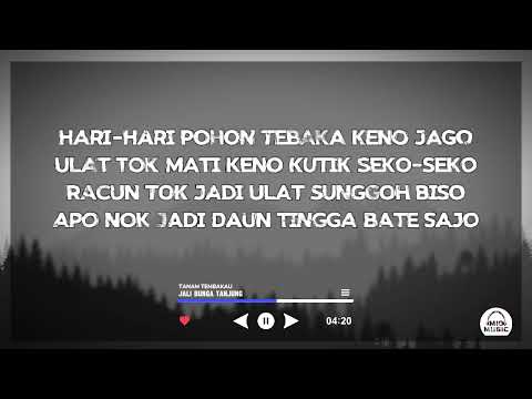 [DIKIR BARAT] Jali Bunga Tanjung - Tanam Tembakau