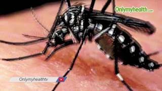 Symptoms of Dengue