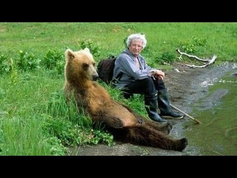 Quand le système de distribution des animaux fait en sorte que votre vie ne soit pas ennuyeuse