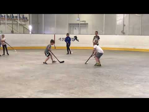 A Lehel HC U8 és U10 csapatok újra a jégpályán