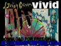 living colour - Funny Vibe - Vivid