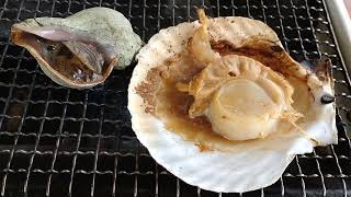 稚内市ノシャップ岬漁師の家でホタテバター焼きとツブ貝焼き　