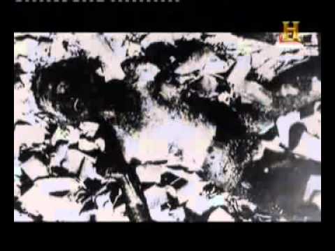 History   The Malayan Emergency