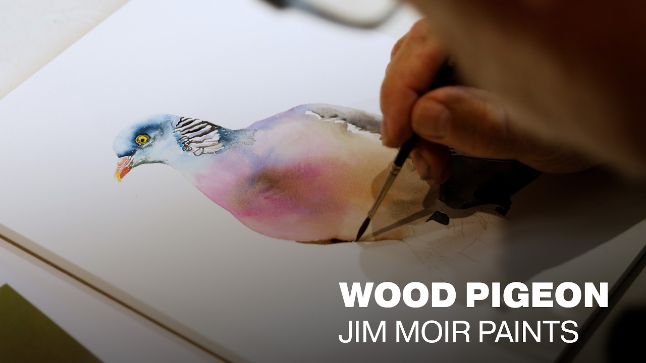Jim Moir (Vic Reeves) Paints a Wood Pigeon in Watercolour | Inside the Studio - YouTube