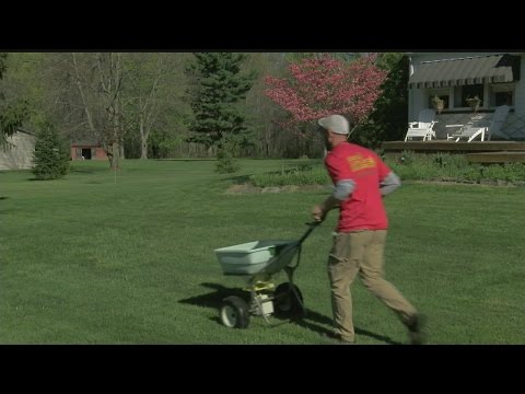 Veterinarian reveals most toxic lawn chemical for pets